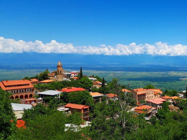 Индивидуальная обзорная экскурсия из Тбилиси в регион Кахетия