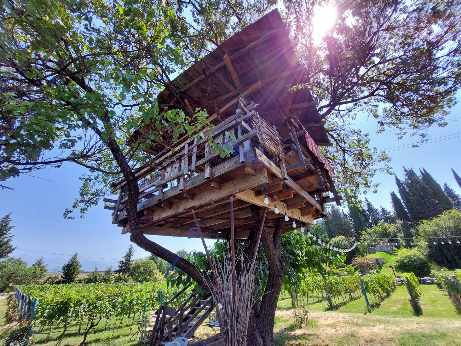 Дом на дереве