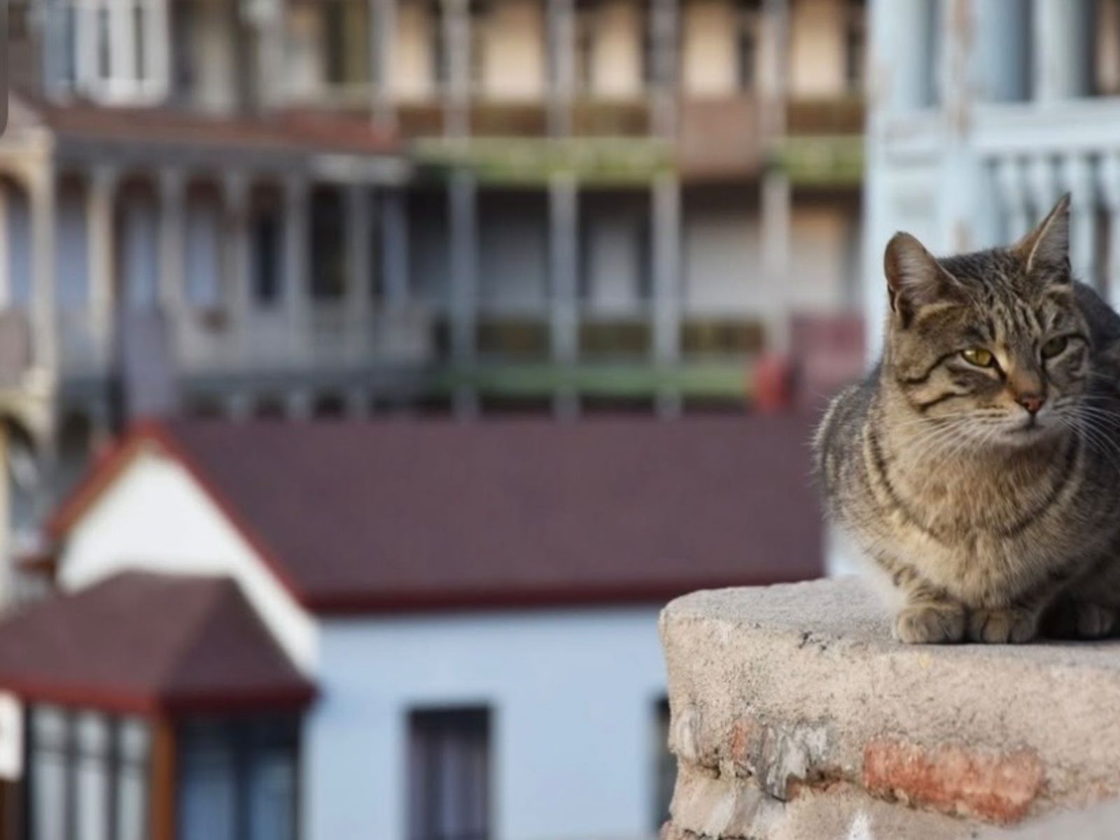 Тбилисские балкончики