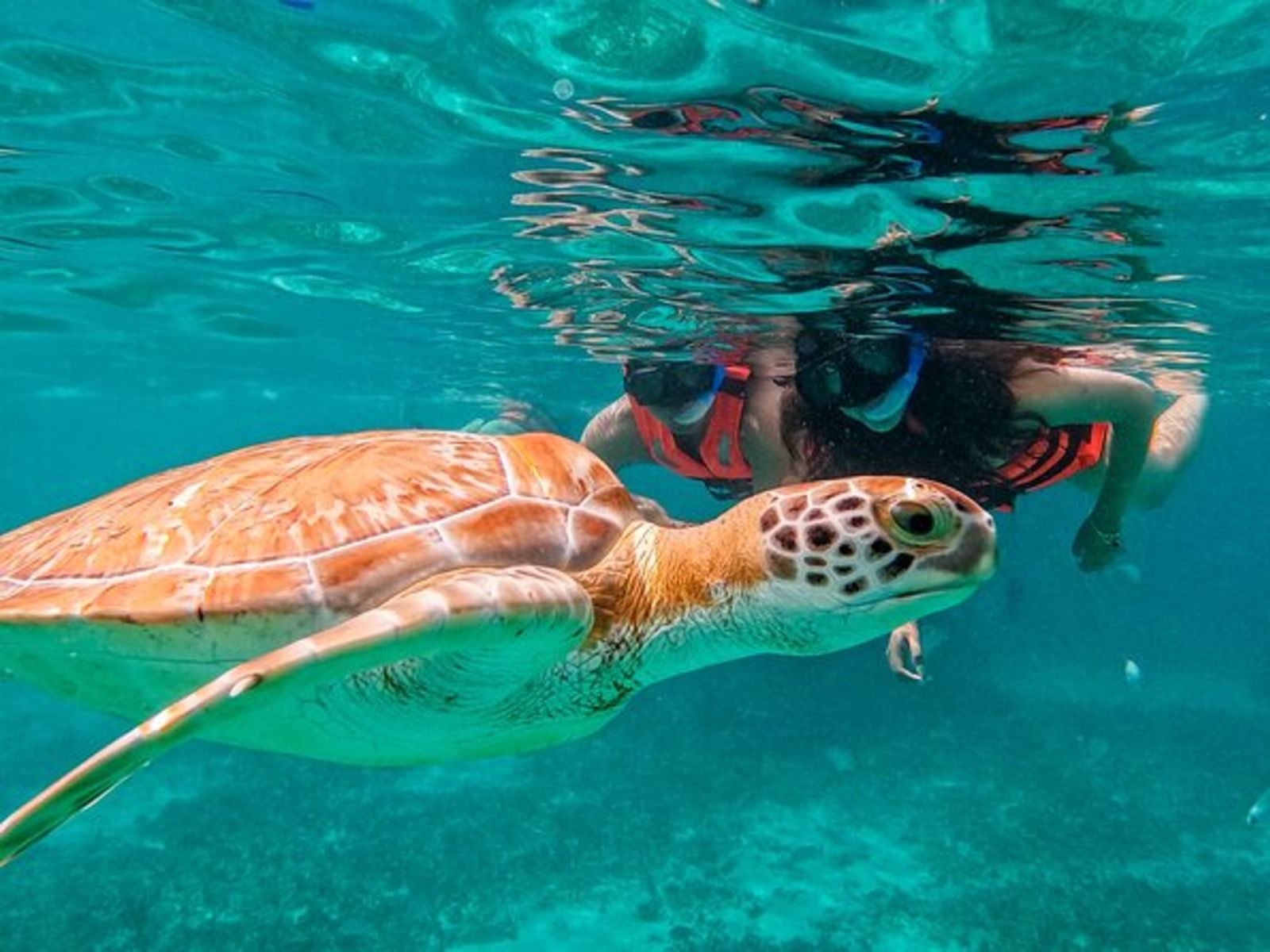 Снорклинг в заливе Хин Дам