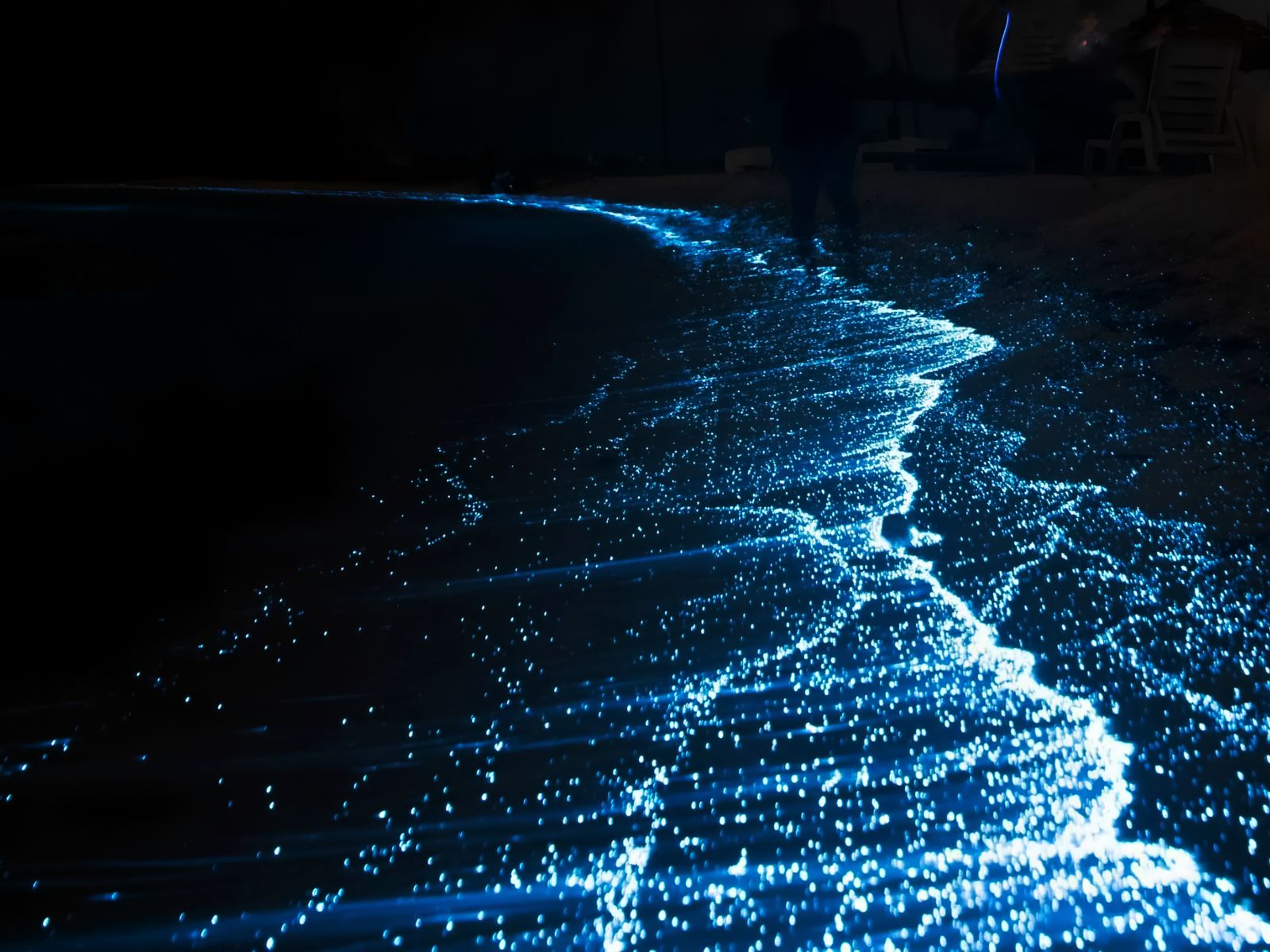 Светящийся планктон