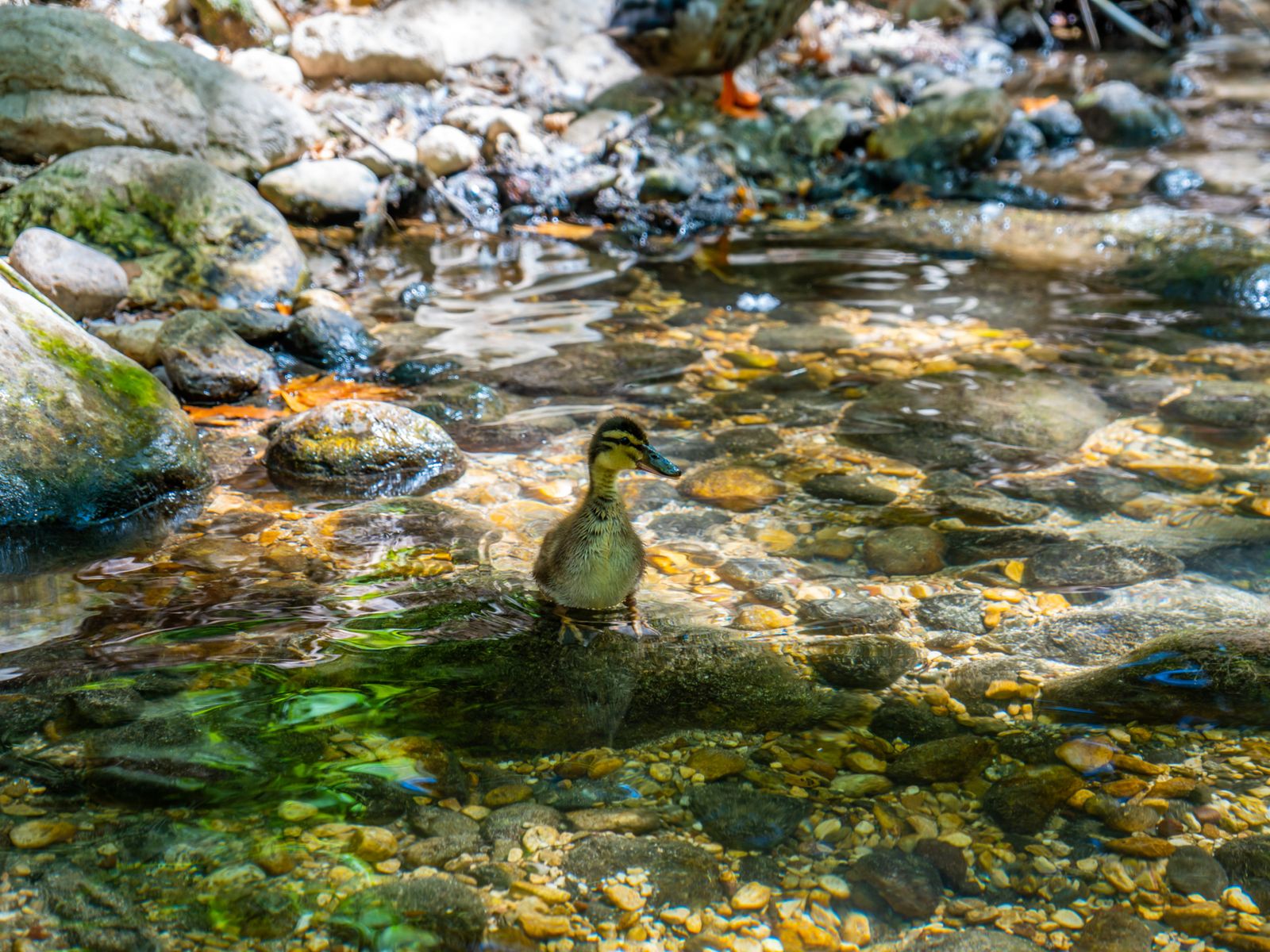 Ужин в Улупынар
