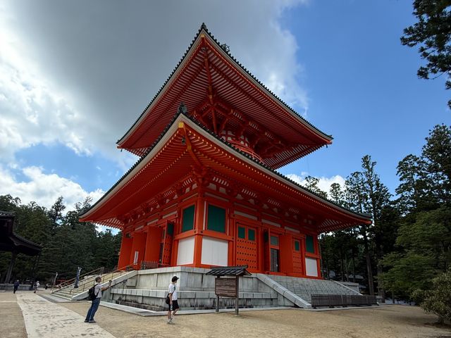 Экскурсия из Осаки/Киото в Коясан: туда, где живёт тишина