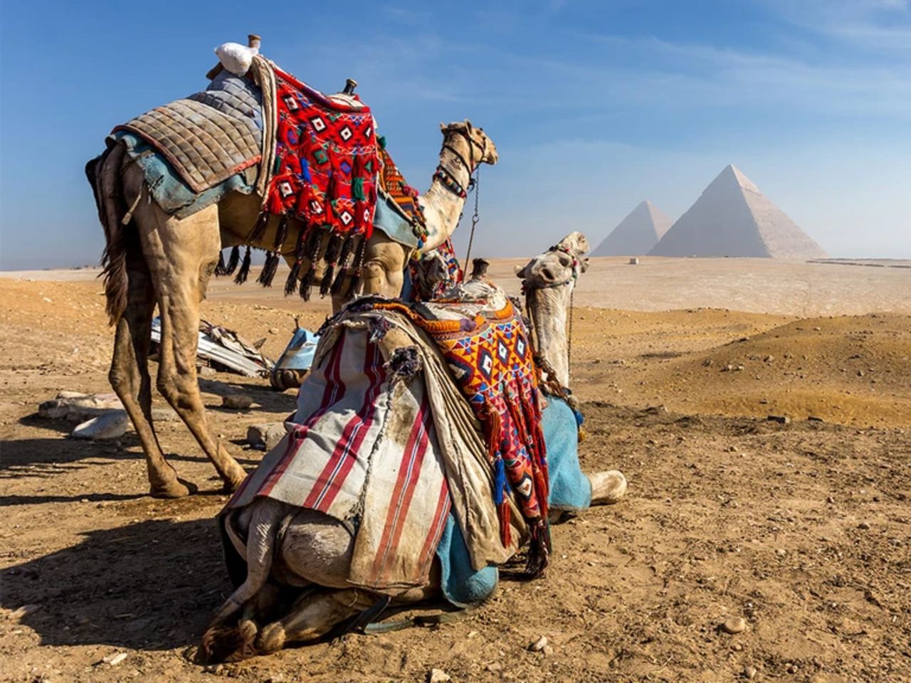 Стандартная обзорная экскурсия по Каиру - индивидуальная экскурсия в Каире на машине гида длительностью 6 часов с количеством участников до 3 человек со скидкой 30% цена экскурсии 210$