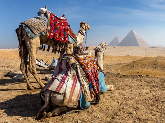 Стандартная обзорная экскурсия по Каиру
