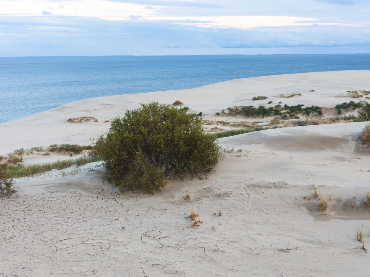 Экскурсия из Светлогорска на Куршскую косу и в Зеленоградск - индивидуальная экскурсия в Светлогорске на машине гида длительностью 5 часов с количеством участников до 4 человек цена экскурсии 15000₽