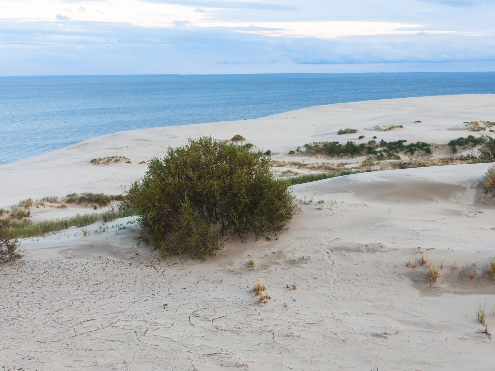 Куршская коса