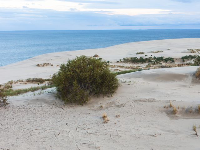 Экскурсия из Светлогорска на Куршскую косу и в Зеленоградск