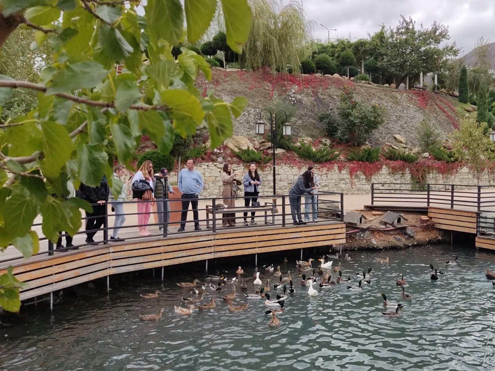 Форелевое хозяйство "Главрыба". Кормление уток 