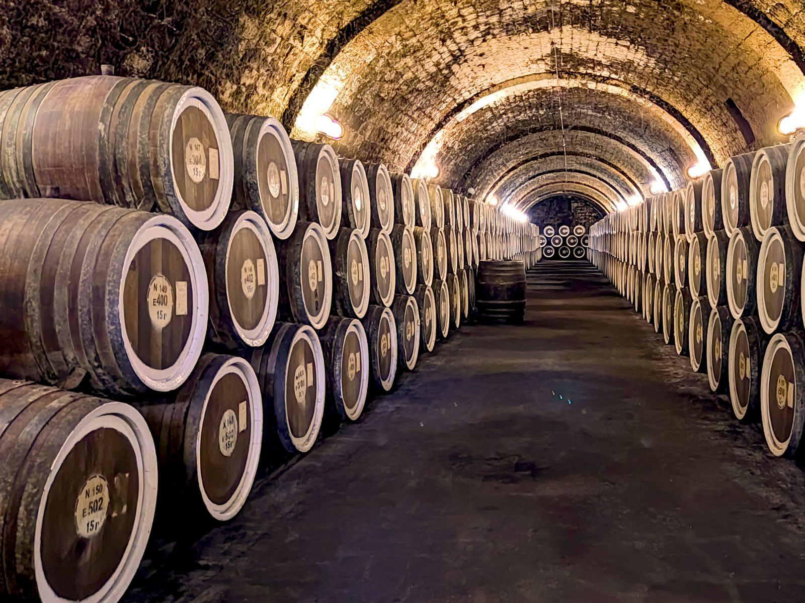 Винный погреб ДЗИВ: дубовые бочки, выстроенные симметричными рядами под сводами старинного подвала
