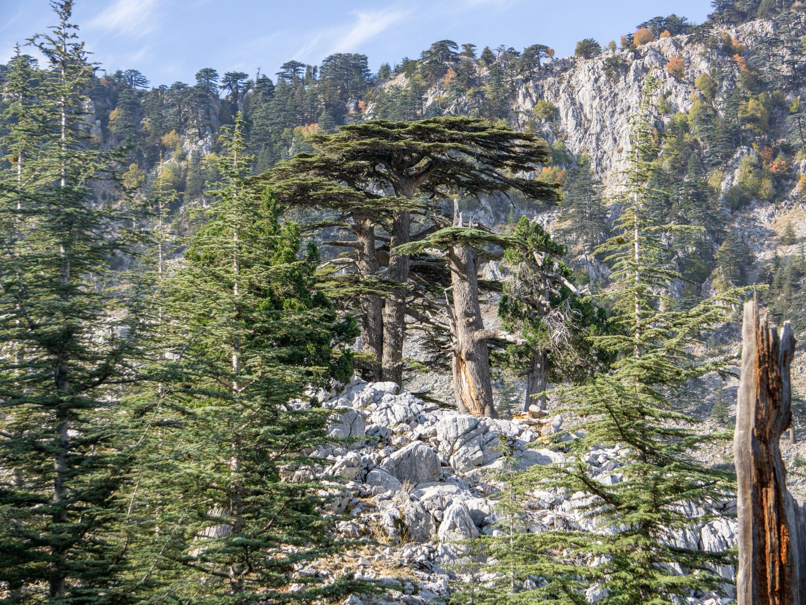  Горные панорамы 