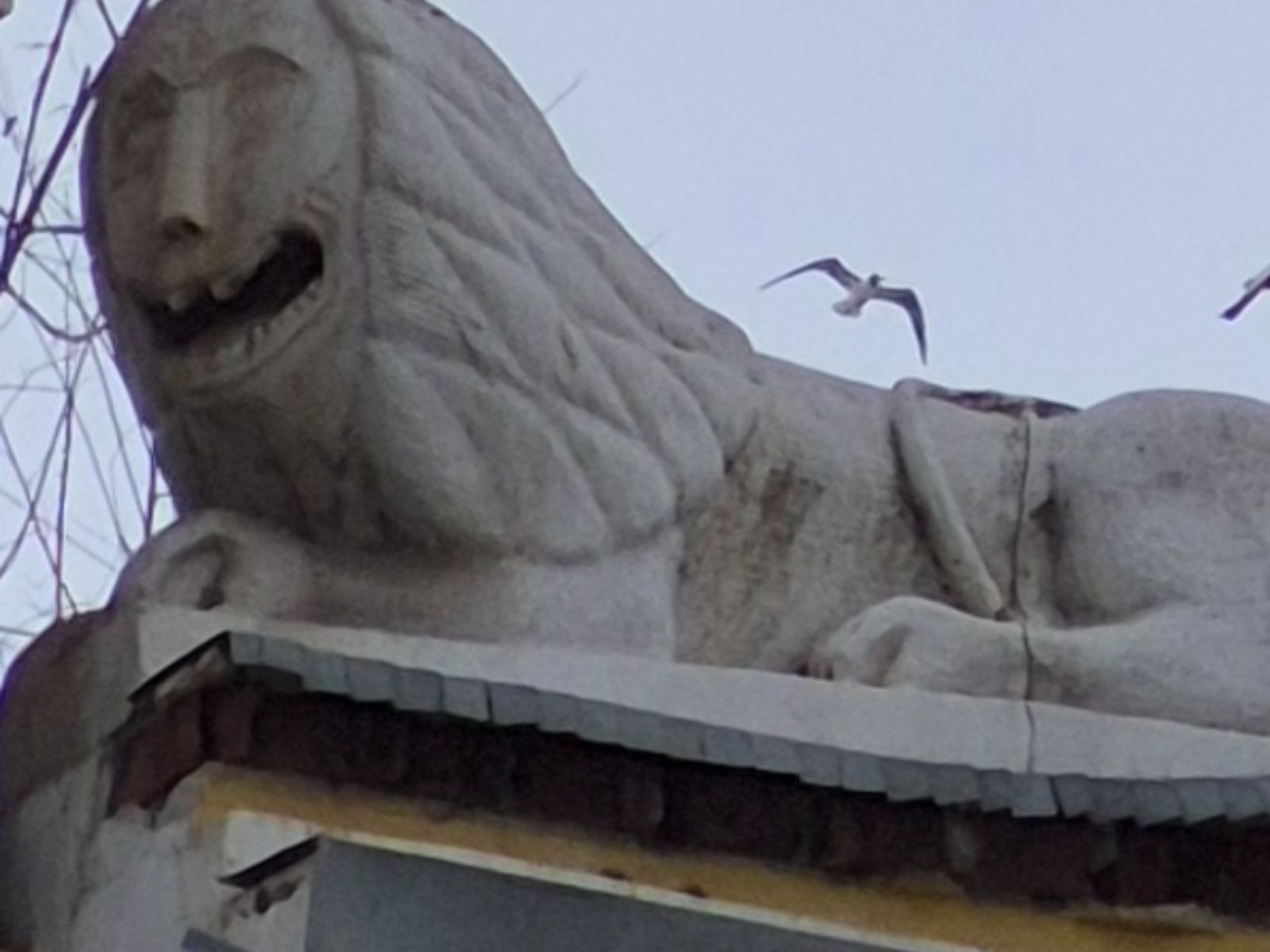 Лев на воротах усадьбы Кирилла Фёдоровича Федорова