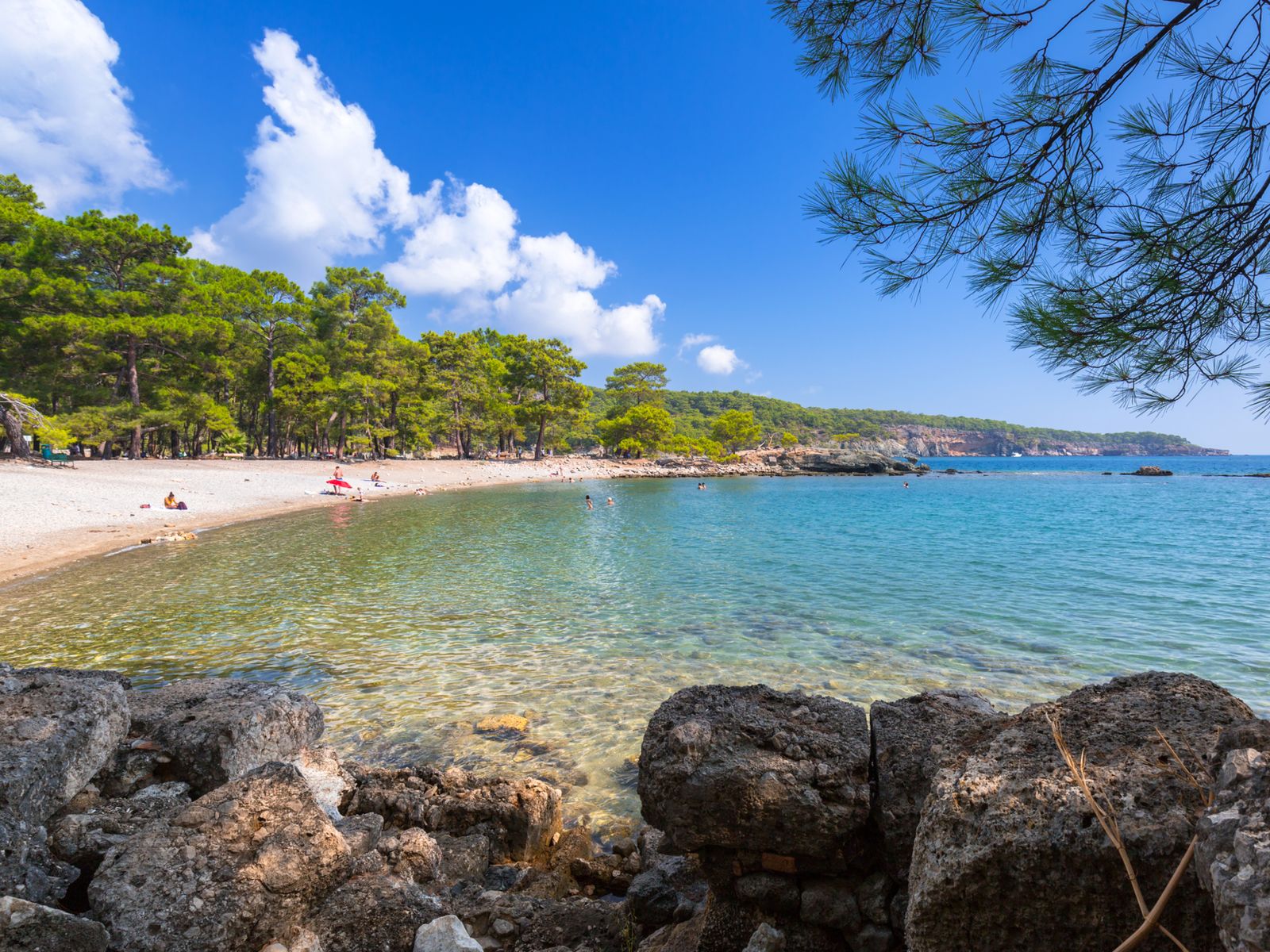 На прогулке