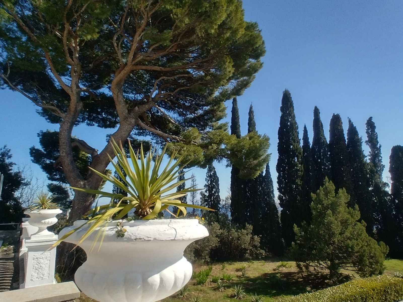 Территория Юсуповского парка