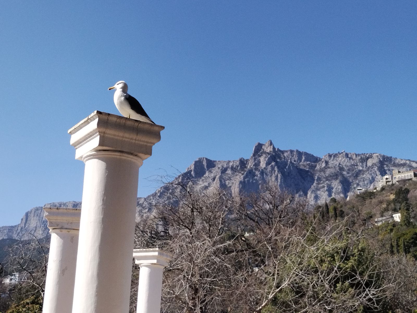 Вид на Ай-Петри с территории Юсуповского парка