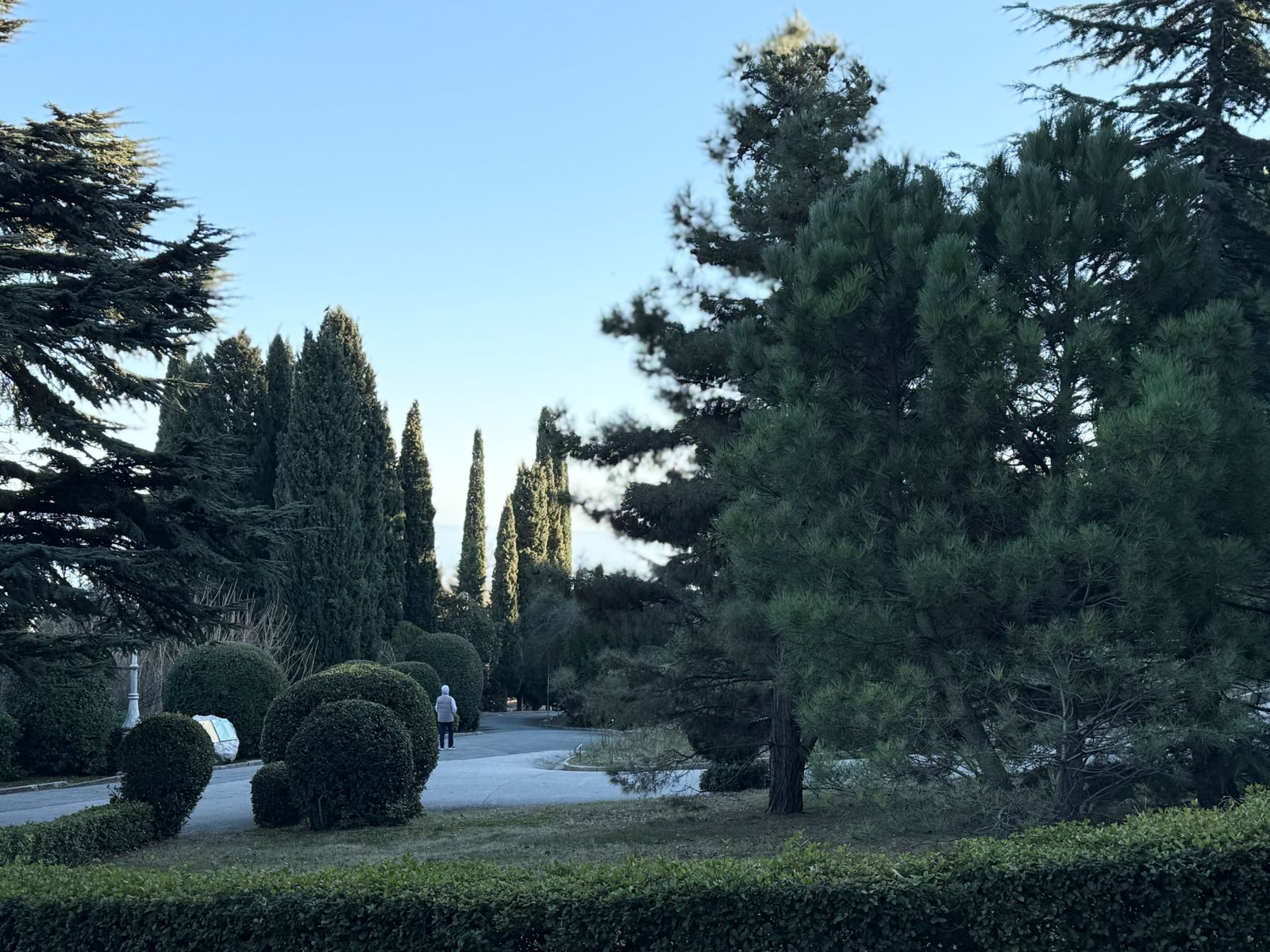 Парк Ливадийского дворца