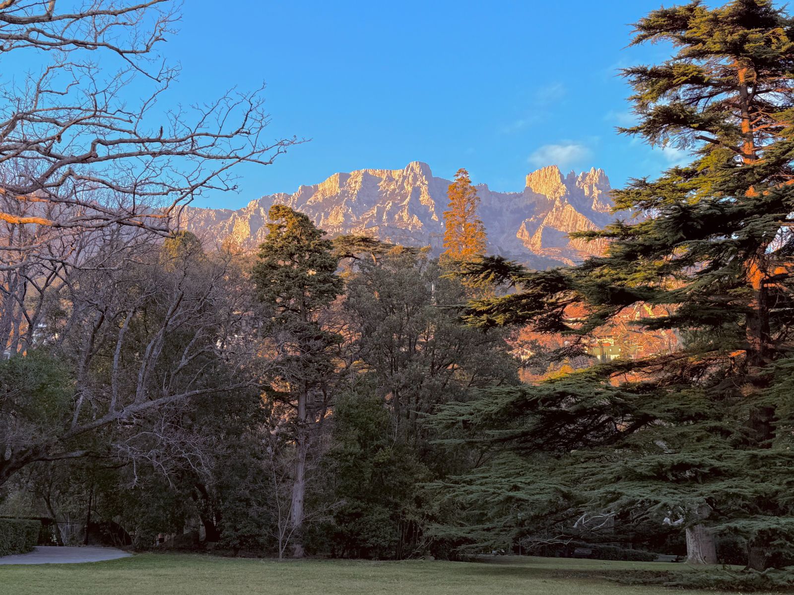 Ай-Петри на фоне парка Воронцовского дворца
