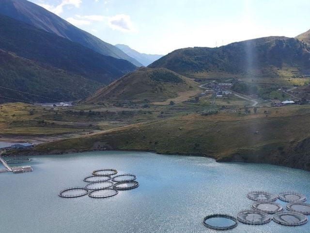 Групповая обзорная экскурсия в Алагирское ущелье, Цей и Мамисон — фото 2