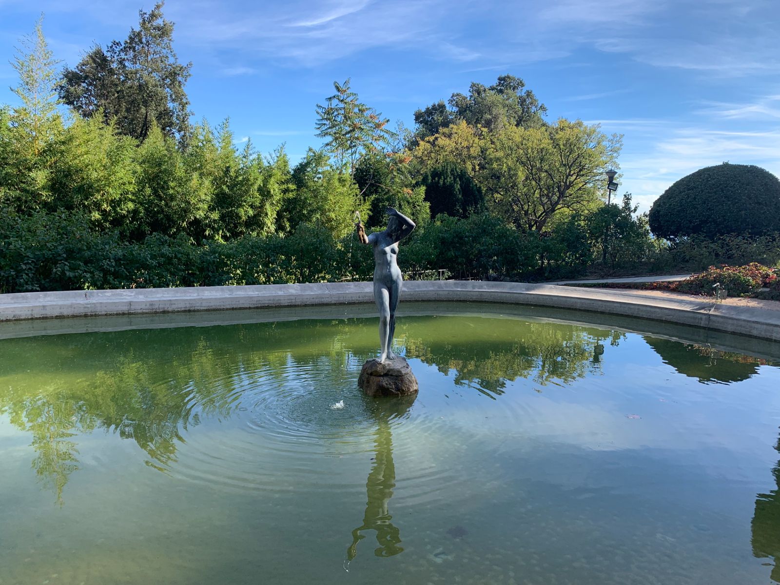 Дворцовый парк