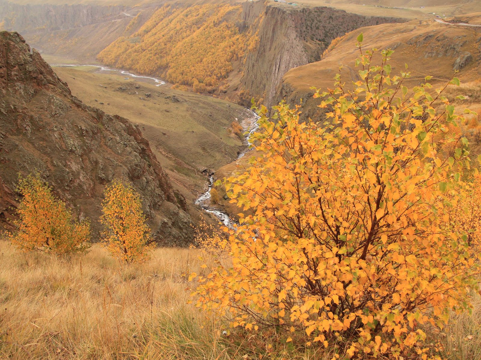 Вид на ущелье