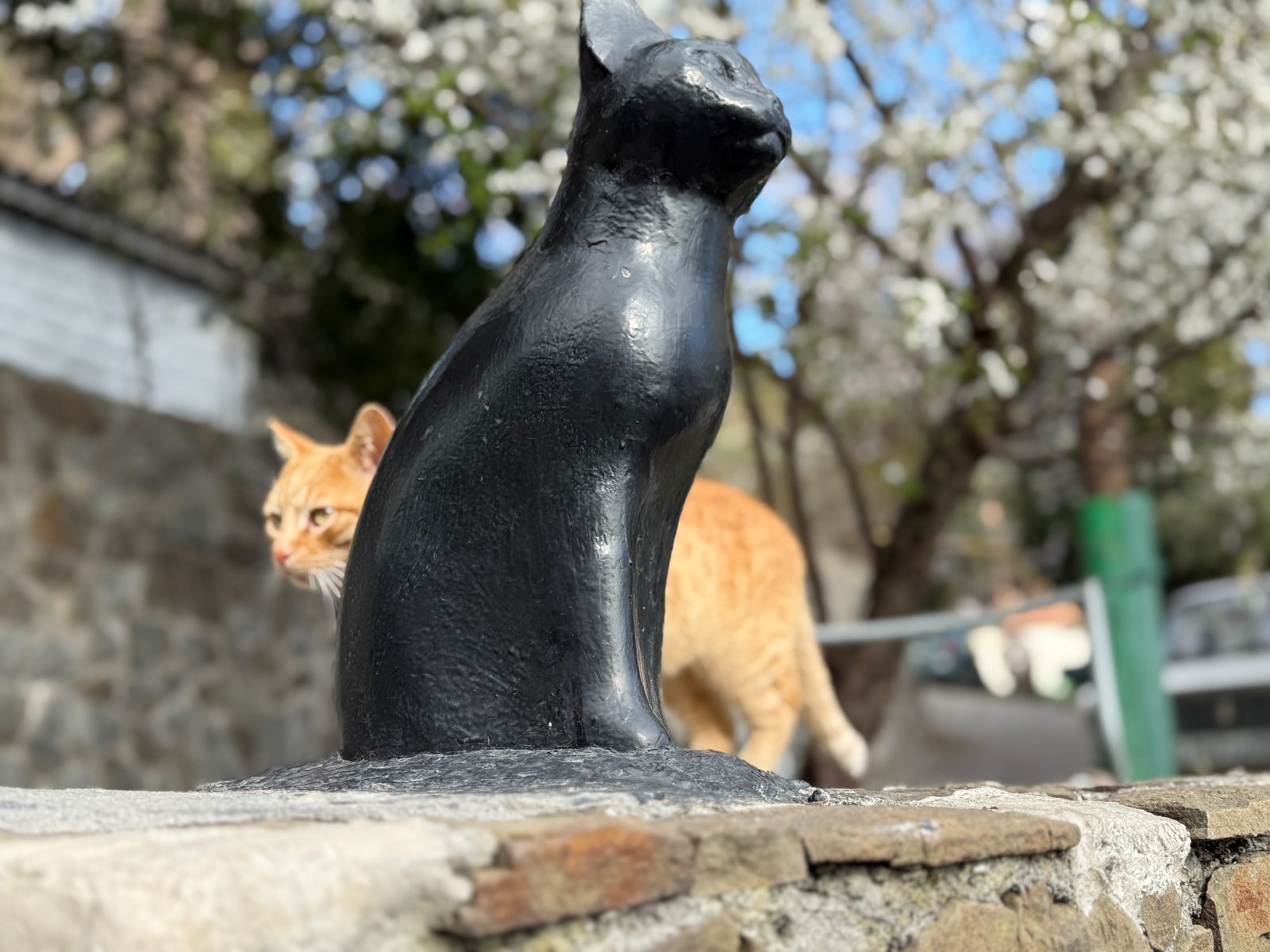 Памятник кошке Пенелопе в Гурзуфе