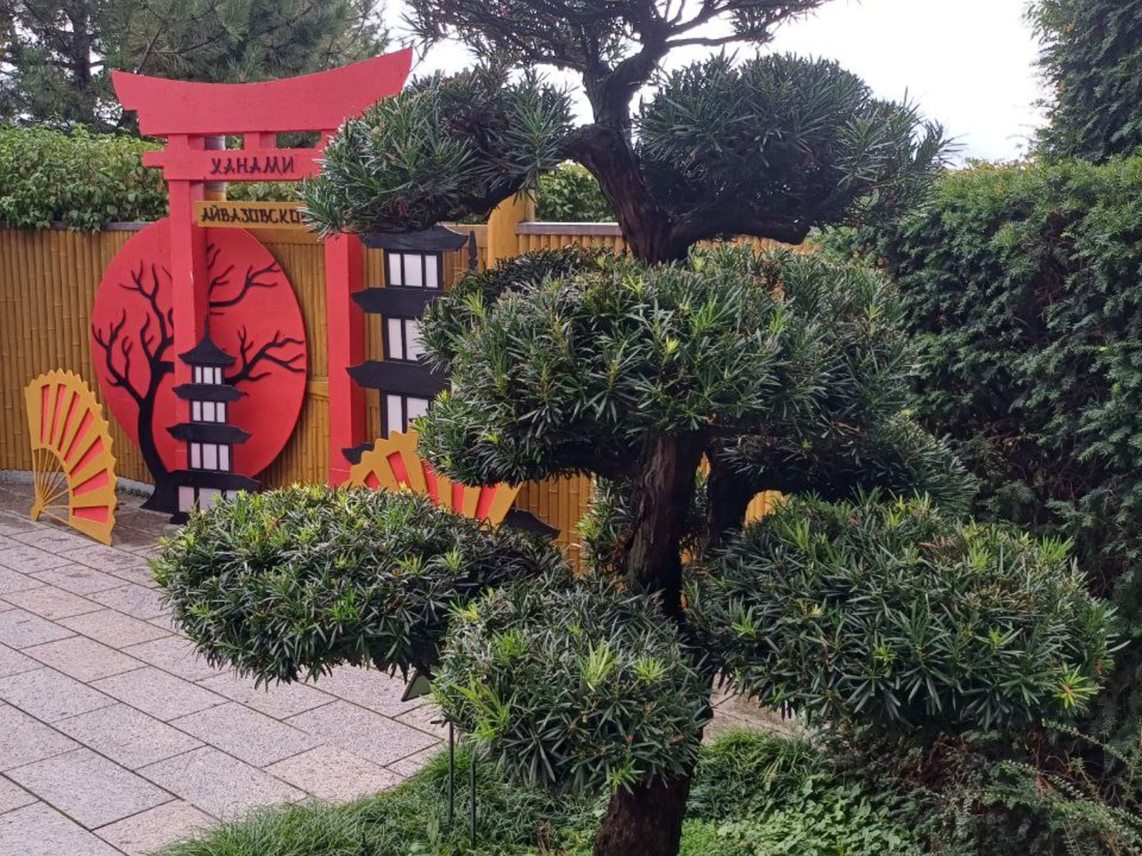 Японский сад