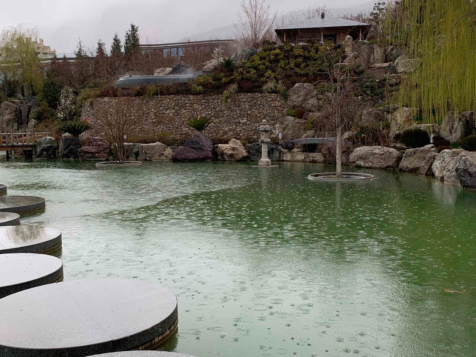 Красота под дождем в Мрии