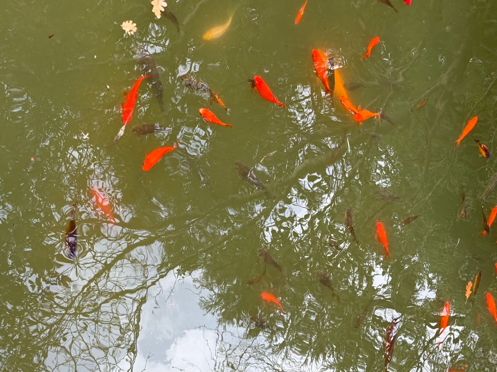 Райский уголок