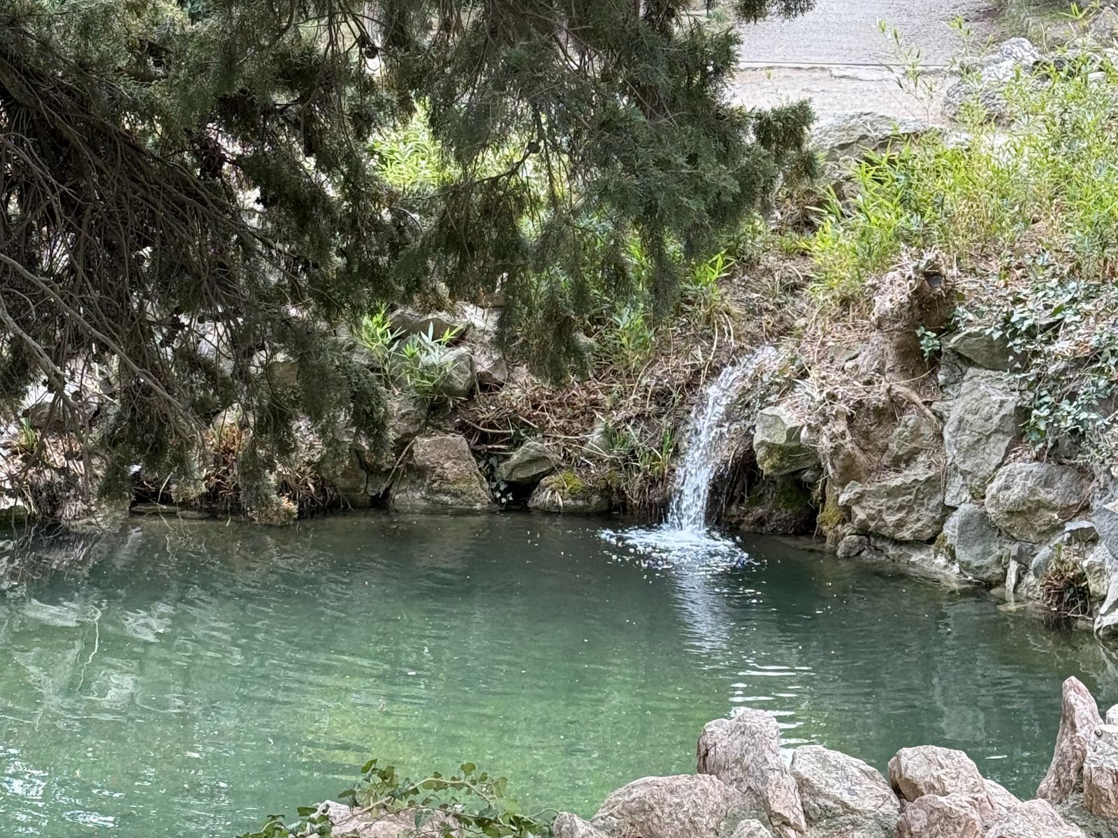 Райский уголок имения