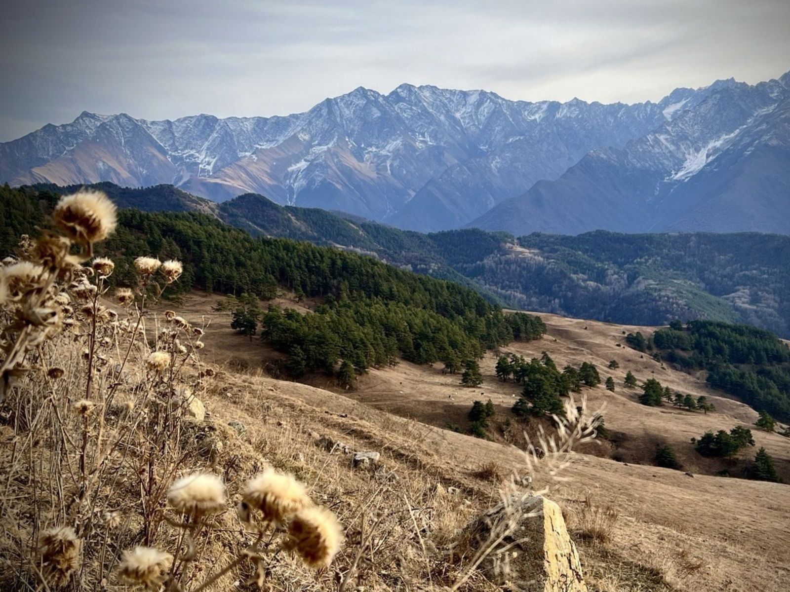 Цей-Лоамский перевал