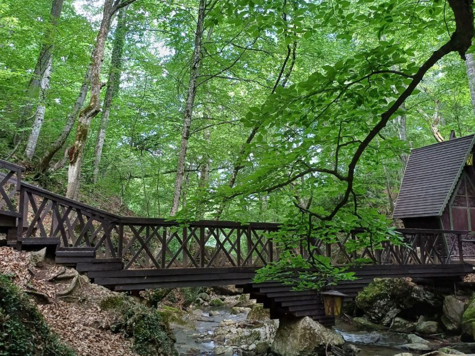 Кафе у водопада