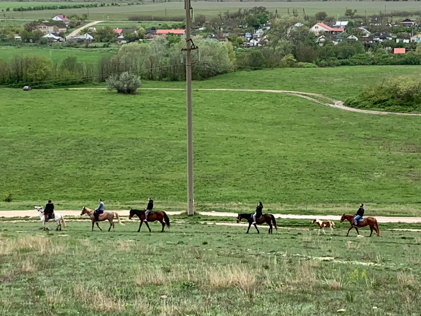 Конные прогулки у подножия