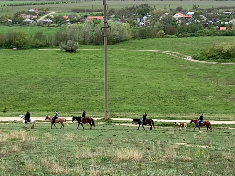 Конные прогулки у подножия