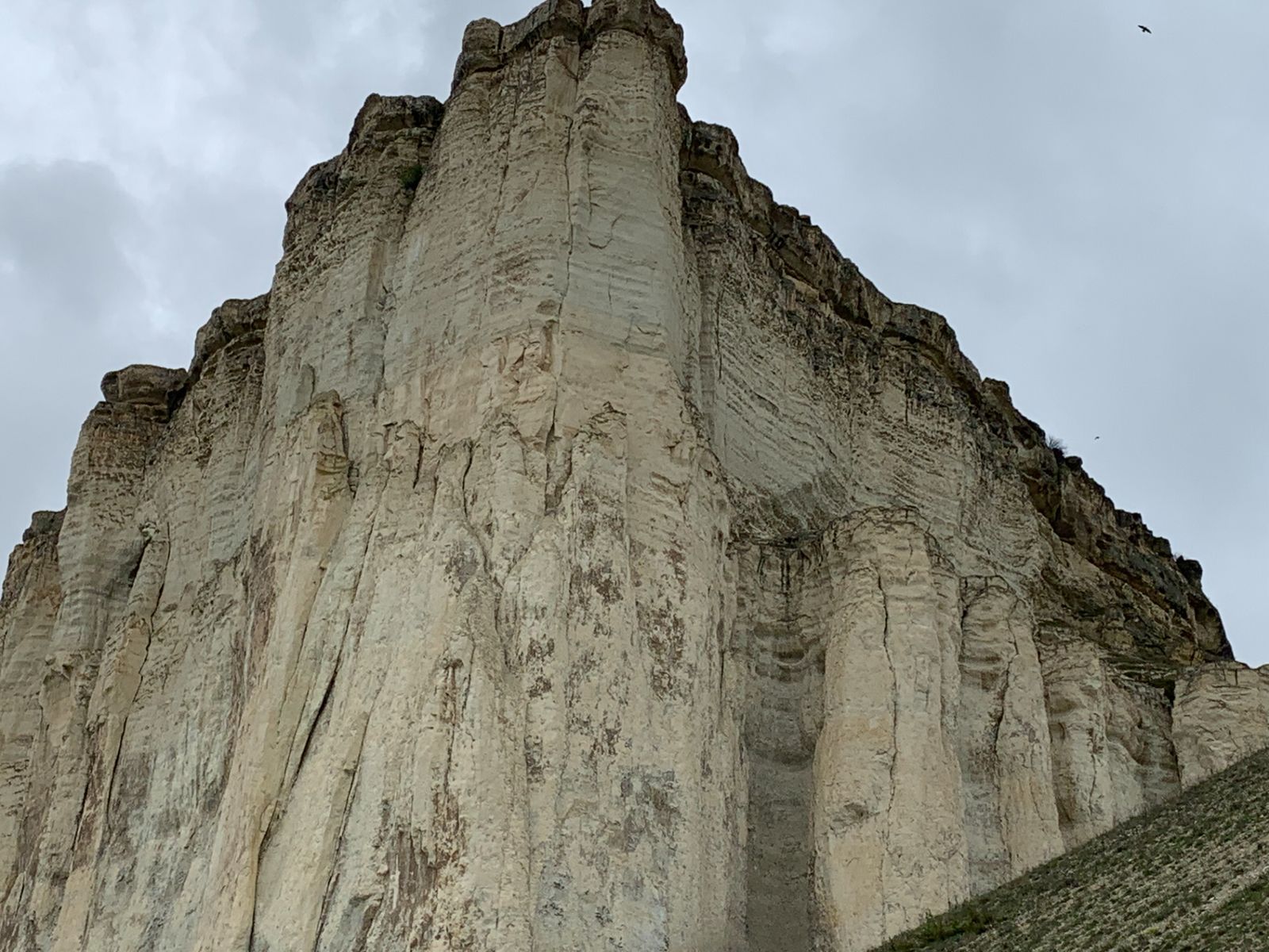 Фрональные виды скалы