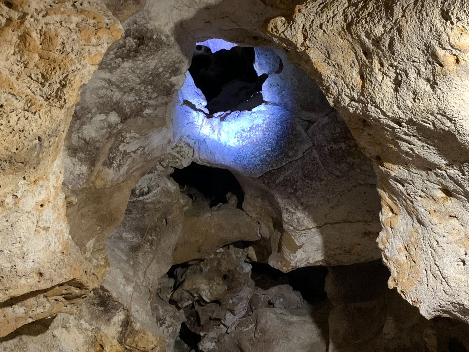 Пещера Таврида, ход для древних животных