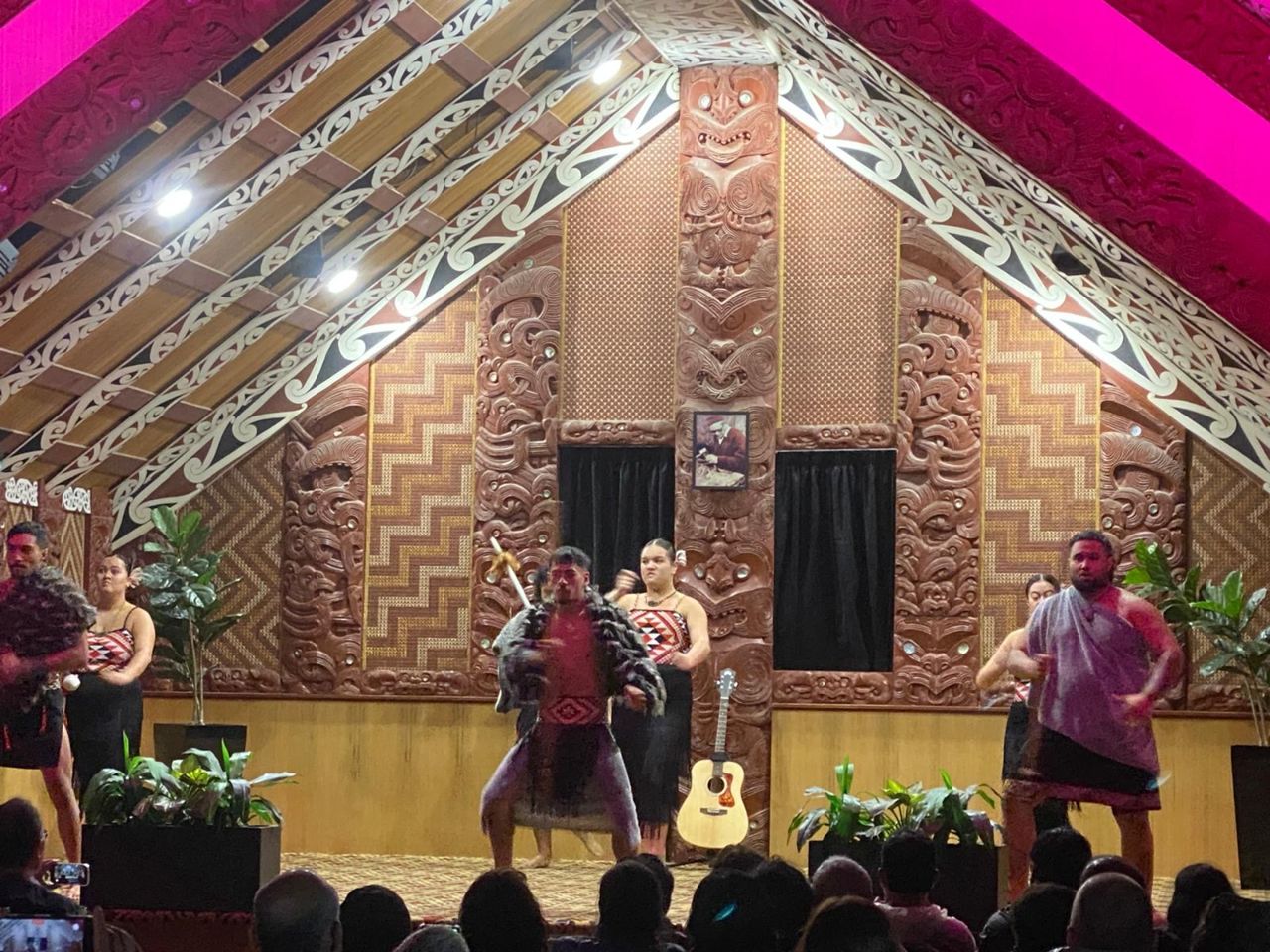 Индивидуальная обзорная экскурсия по Роторуа и окрестностям - индивидуальная экскурсия в Роторуа на машине гида длительностью 9 часов с количеством участников до 3 человек цена экскурсии 760$