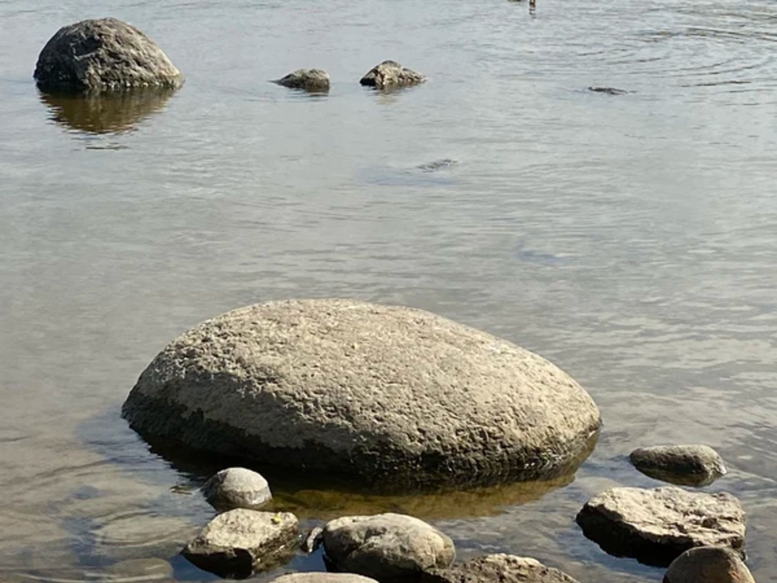 Финский залив