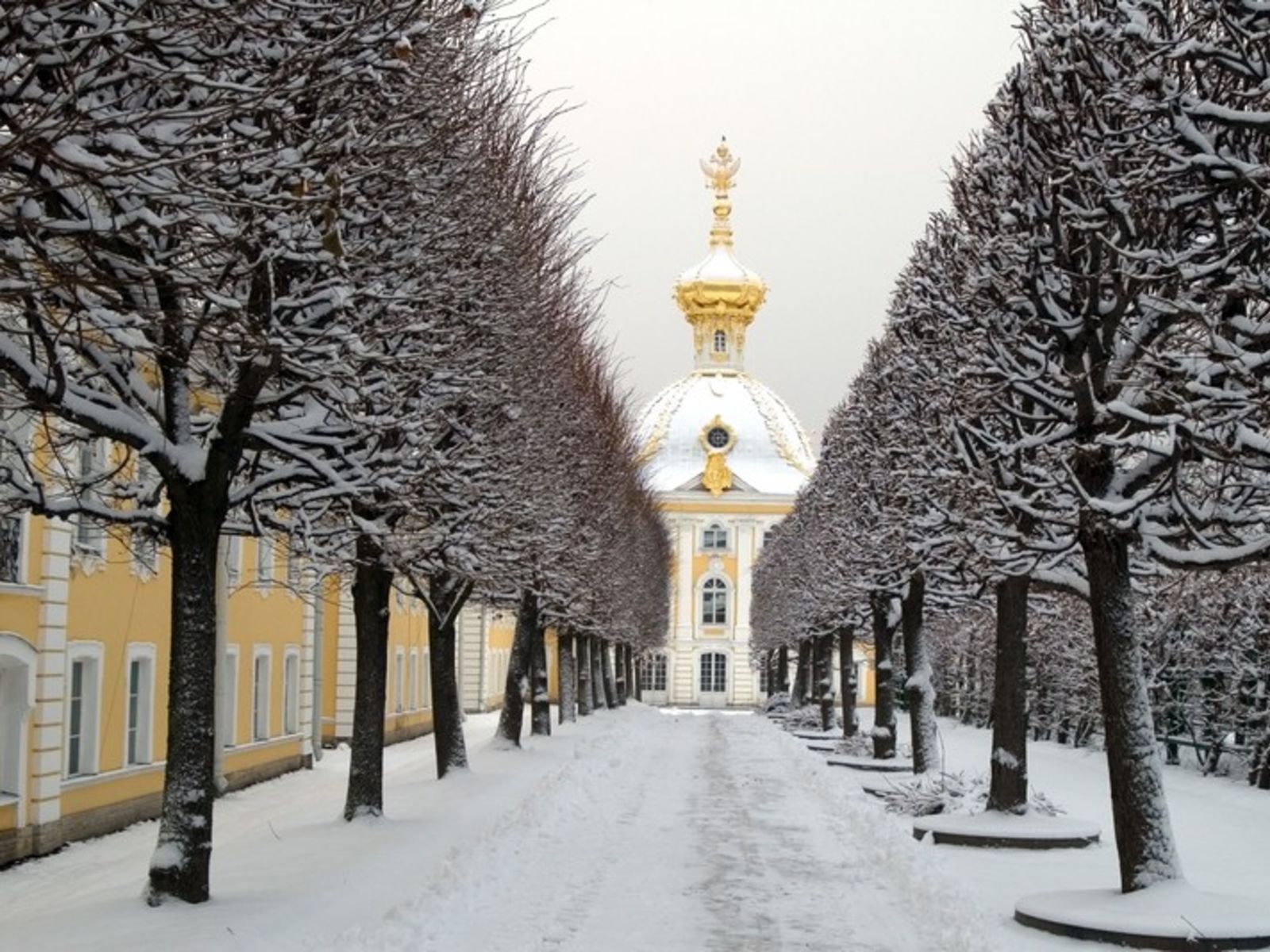 Верхний сад зимой