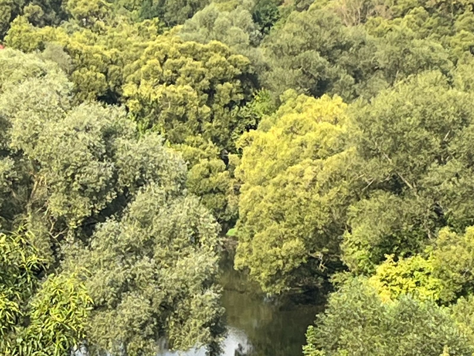 Река Протва