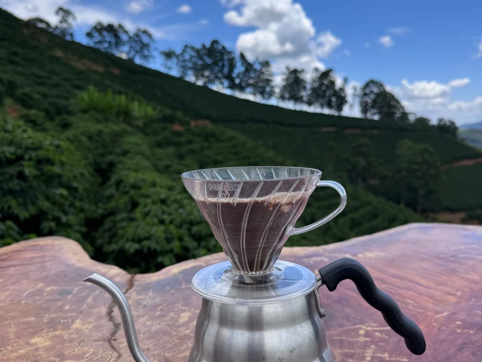 Дегустация кофе