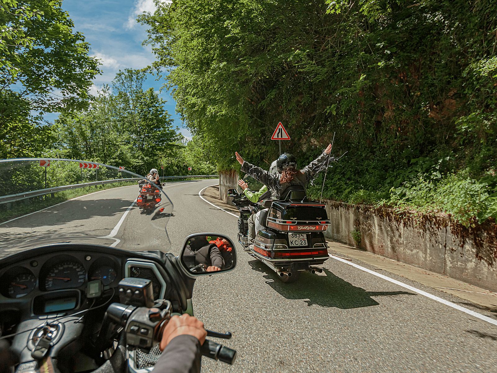 Веселая экскурсия