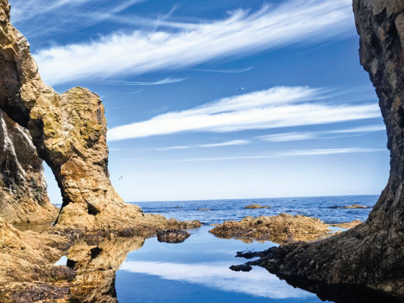 Охотское море - "Портал"