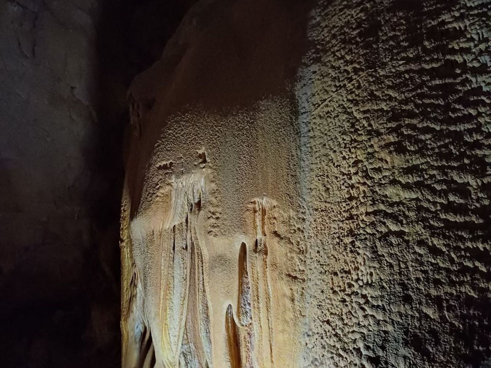 Натечности