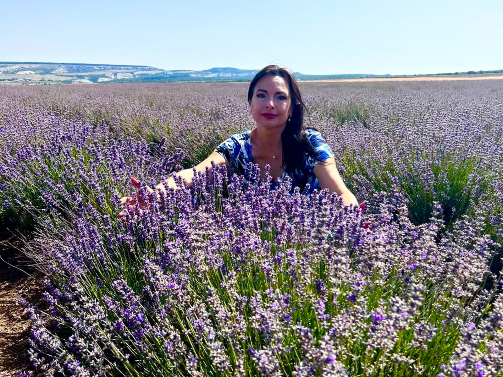 Лавандовые поля