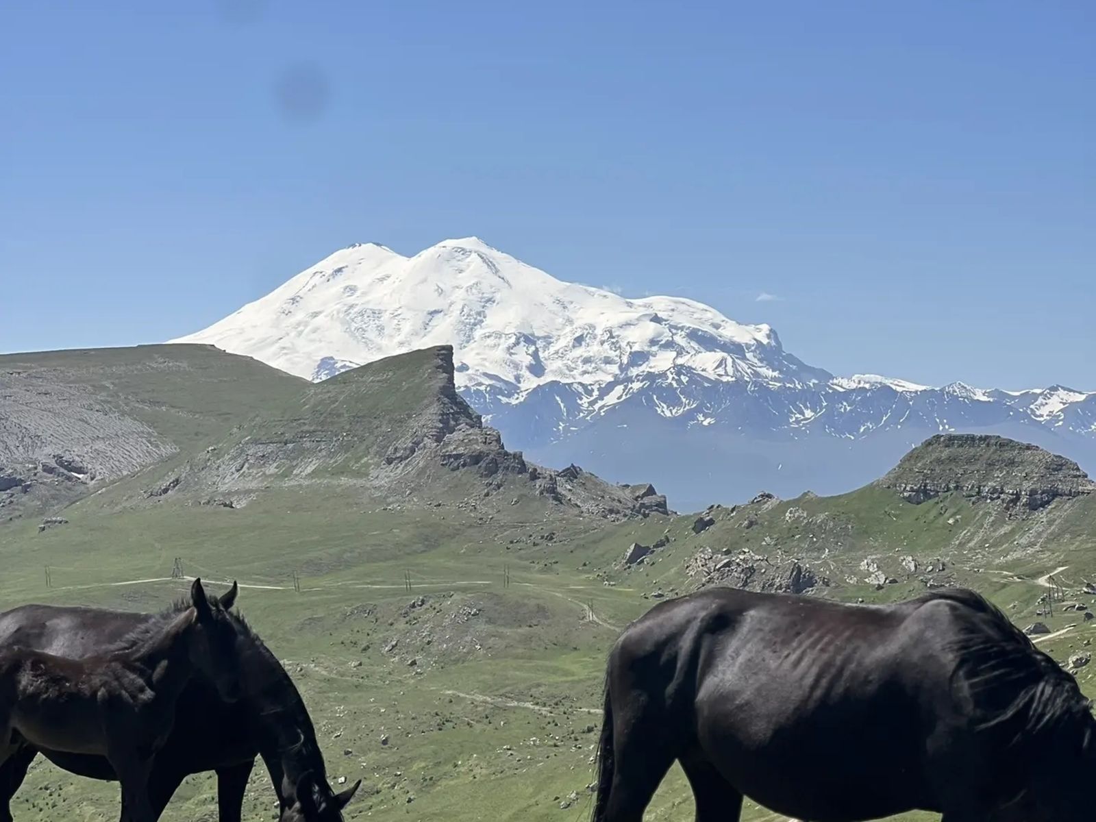 Карачаевская порода лошадей