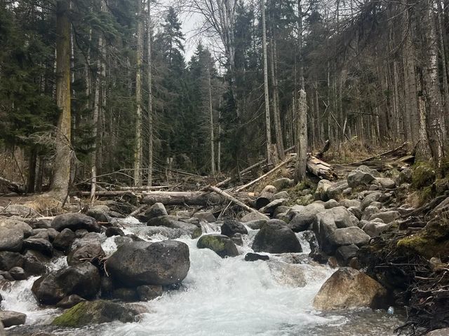 Домбай – душа Карачаево-Черкесии: обзорный тур из Кисловодска — фото 3