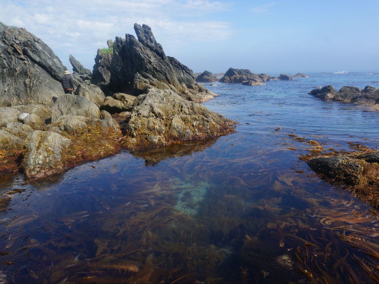 Джип-экспедиция на Янтарный пляж, Быковские пороги и мыс Острый - групповая экскурсия в Южно-Сахалинске на машине гида длительностью 8 часов с количеством участников до 6 человек цена экскурсии 10000₽