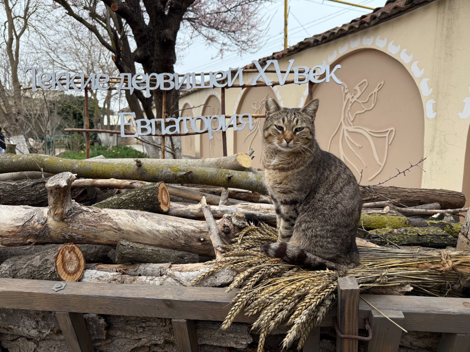 Страж на входе в текие дервишей