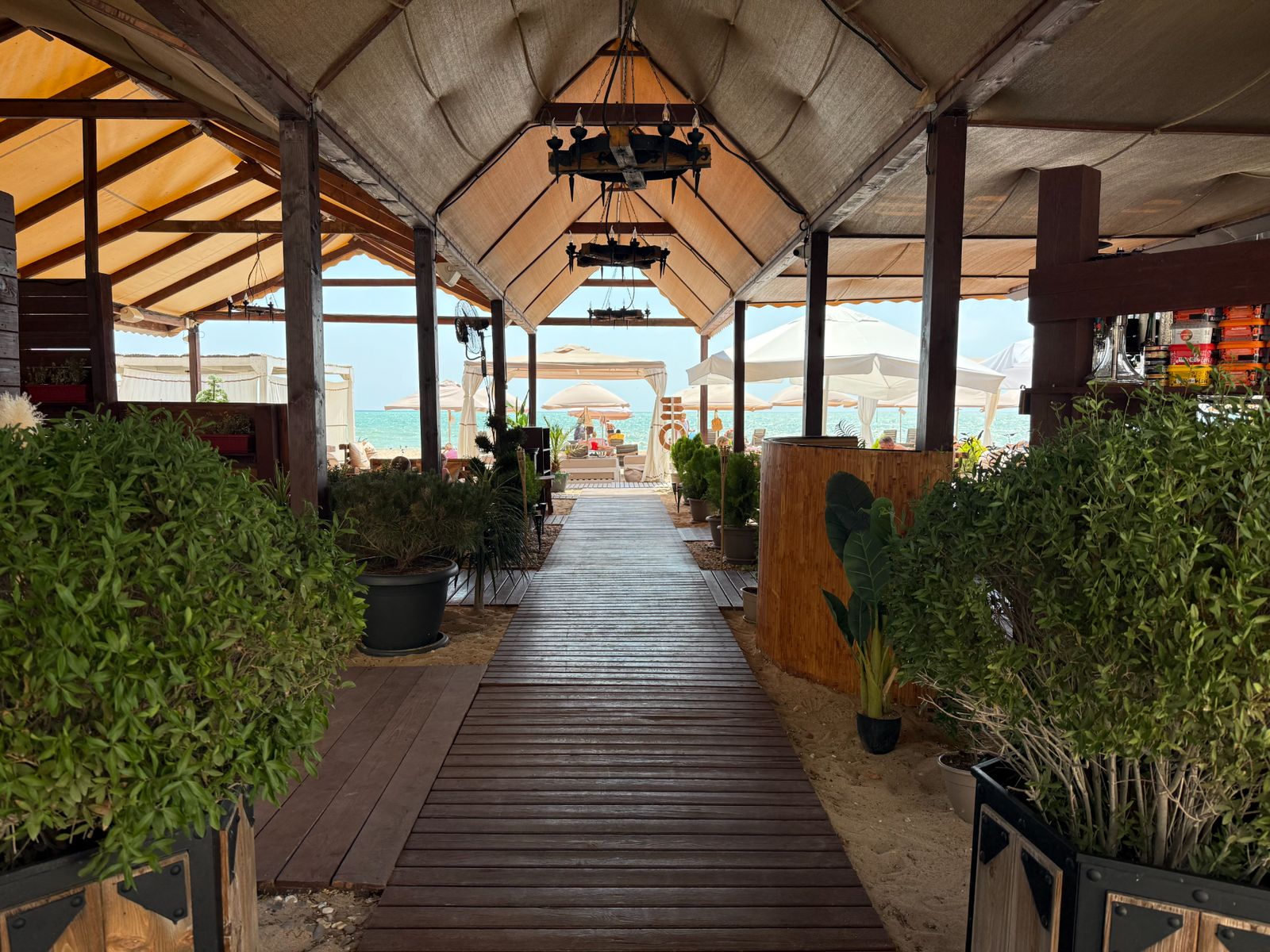 Пляжные бары