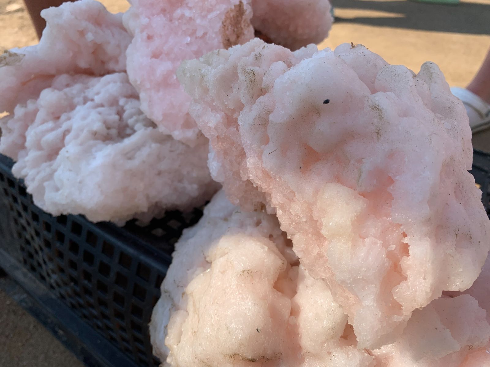 Розовая соль озера